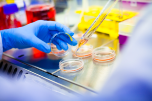 The Language of Stem Cell Medicine: What are They? What Makes Them so Special? And What do all Those Acronyms Mean?