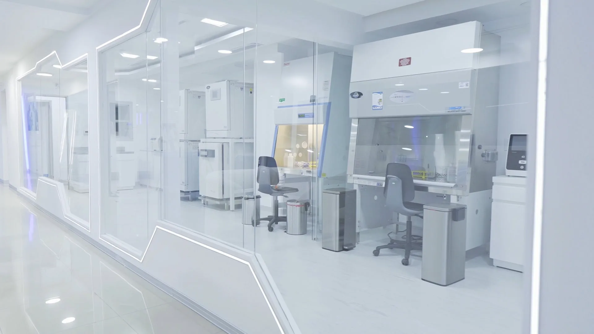 Physicians integrating stem cells