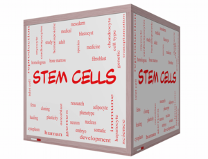 The Language of Stem Cell Medicine: What are They? What Makes Them so Special? And What do all Those Acronyms Mean?