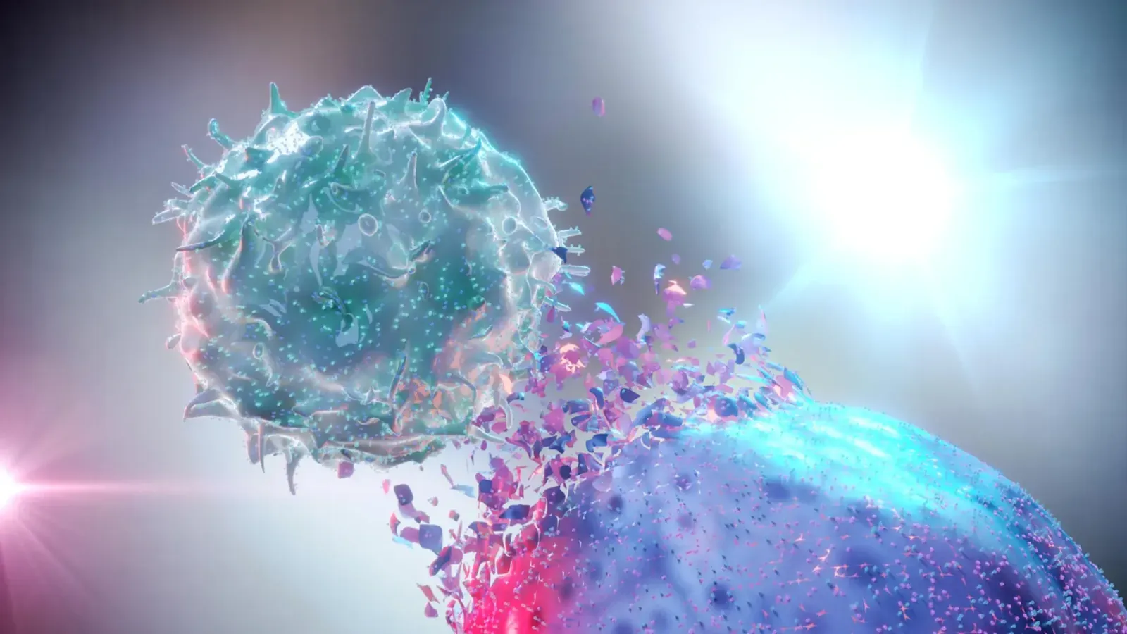 NK Cells and MUSE Cells certification